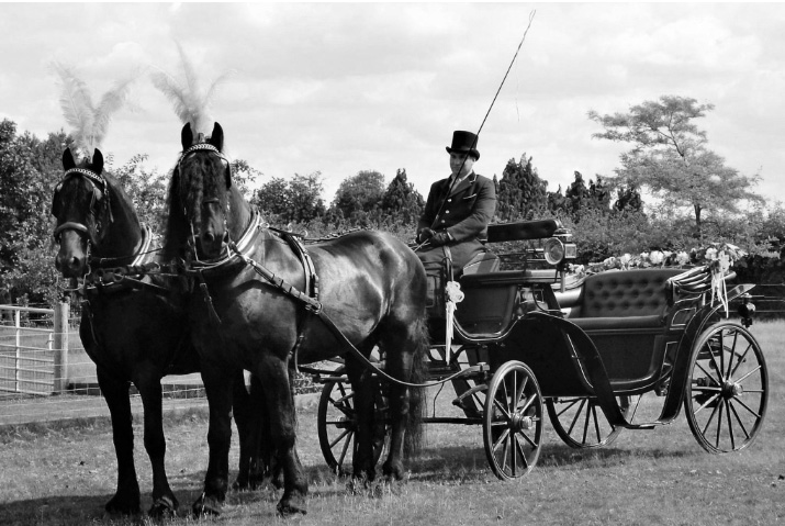 Historique VTC - Carrosse avec 2 chevaux en blanc et noir